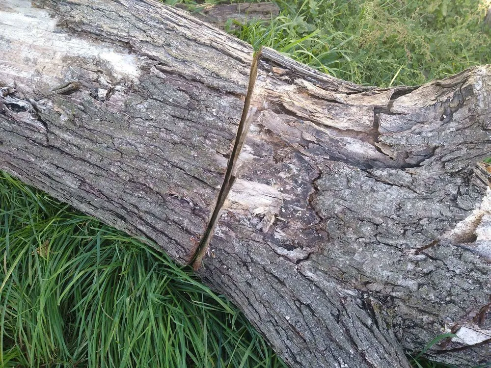 Local landscape installation in Cleveland, OH - Lawn Expressos