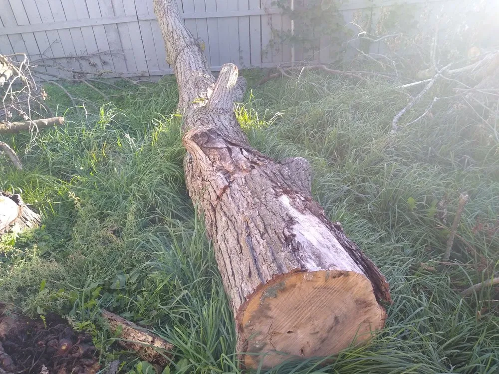 Custom yard maintenance in Cleveland, OH by Lawn Expressos