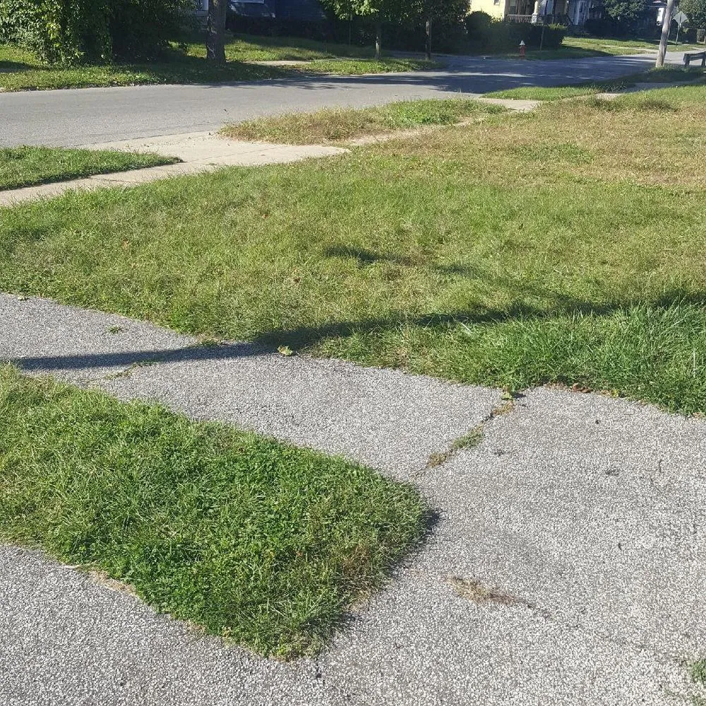 Top-rated yard cleanup service experts serving Cleveland, OH - Lawn Expressos