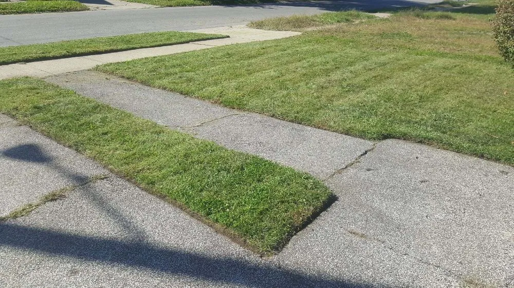 Professional landscaping services in Cleveland, OH - Lawn Expressos