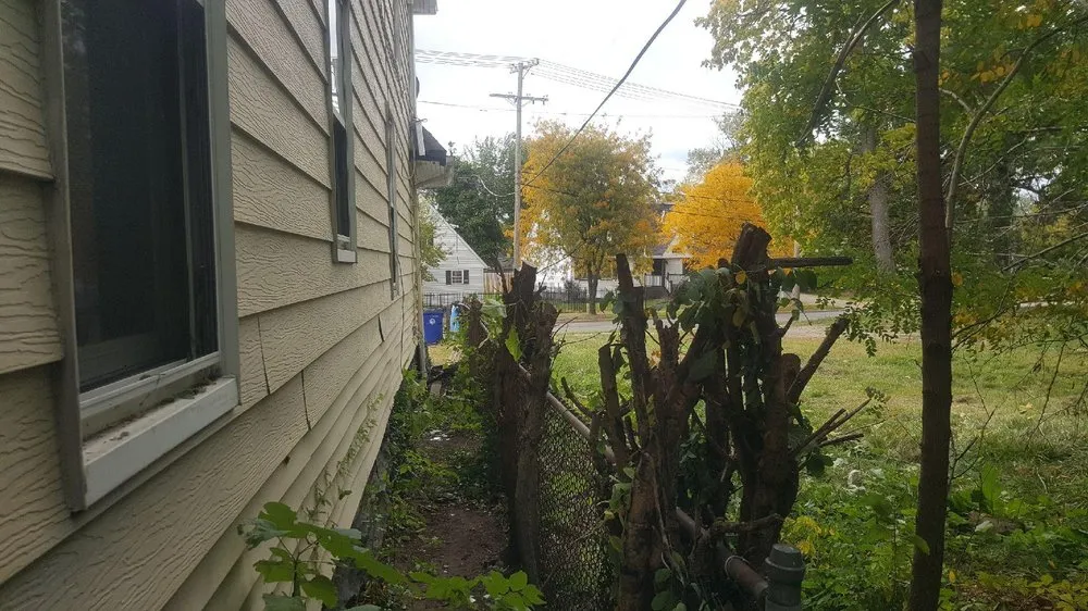 Local residential landscaping in Cleveland, OH by Lawn Expressos