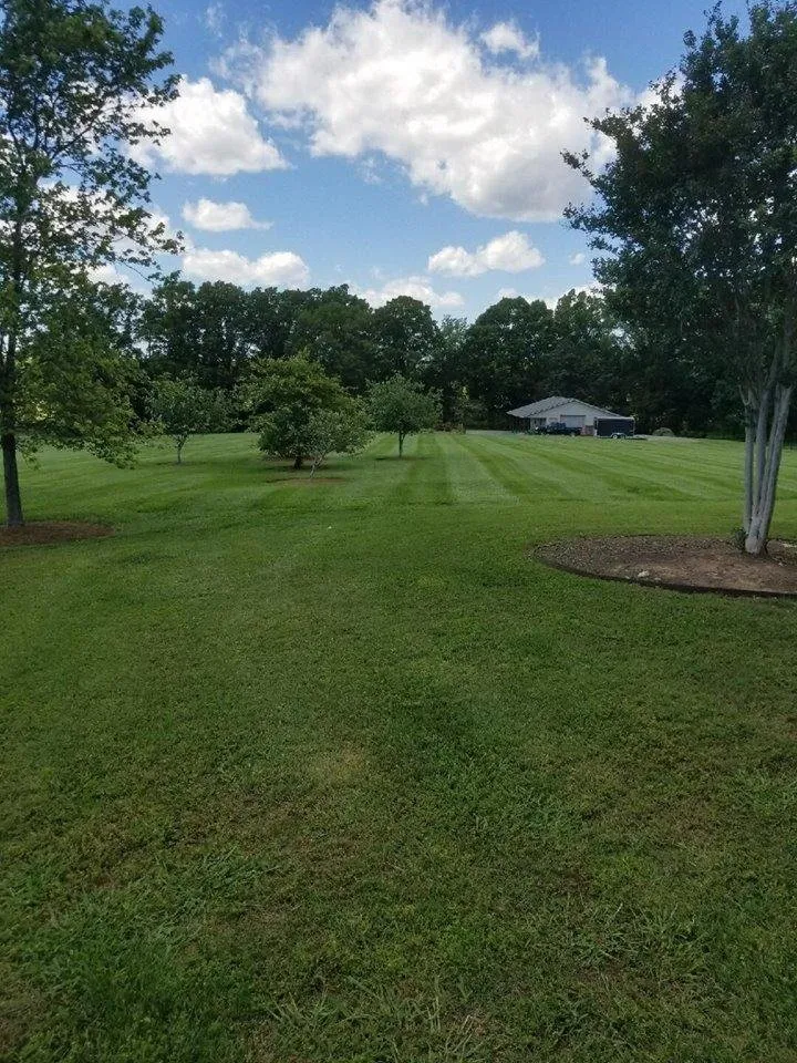 Custom lawn care service in Indian Trail, NC - Lawn Factor Landscaping Services