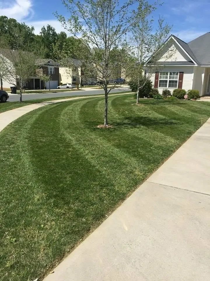 Trusted lawn care service experts serving Indian Trail, NC - Lawn Factor Landscaping Services