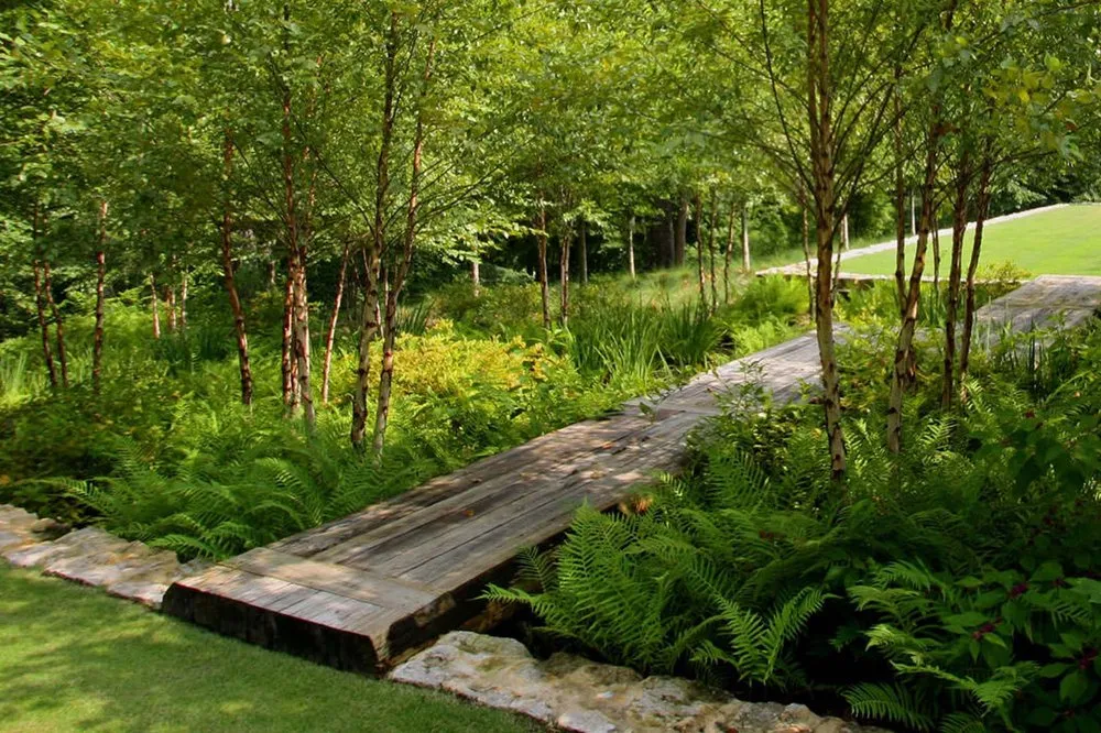 Trusted yard cleanup service with custom design in Fallbrook, CA by Lawn