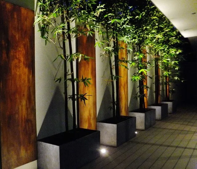 Top-rated landscaping services in Fallbrook, CA - Lawn