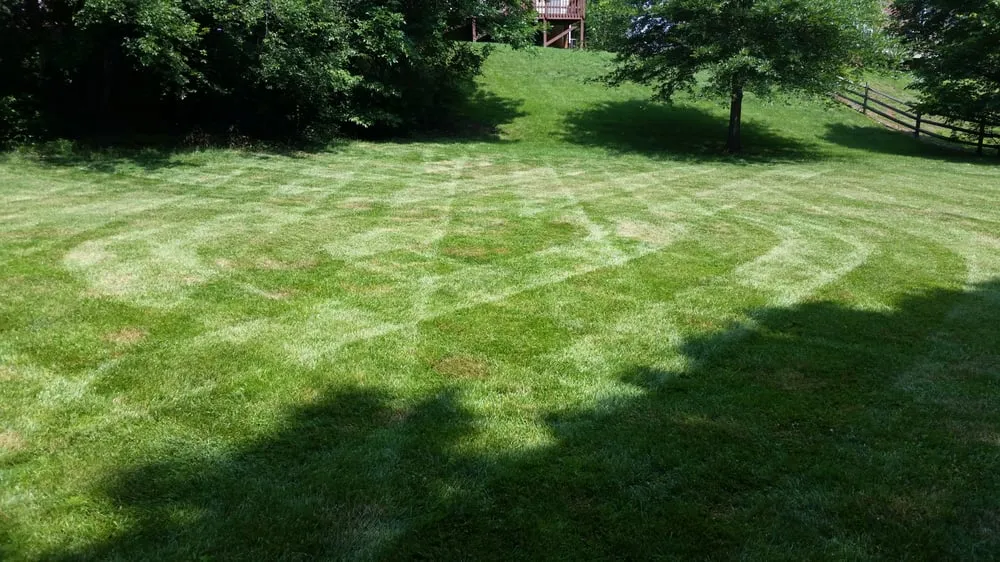 Reliable yard cleanup service for outdoor upgrades across Kannapolis, NC - Lawn Firm