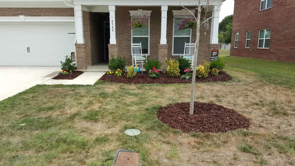 Custom yard maintenance in Kannapolis, NC - Lawn Firm