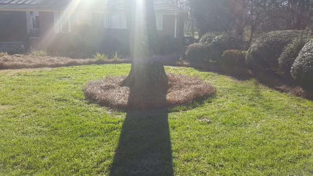 Trusted lawn care service experts serving Kannapolis, NC - Lawn Firm