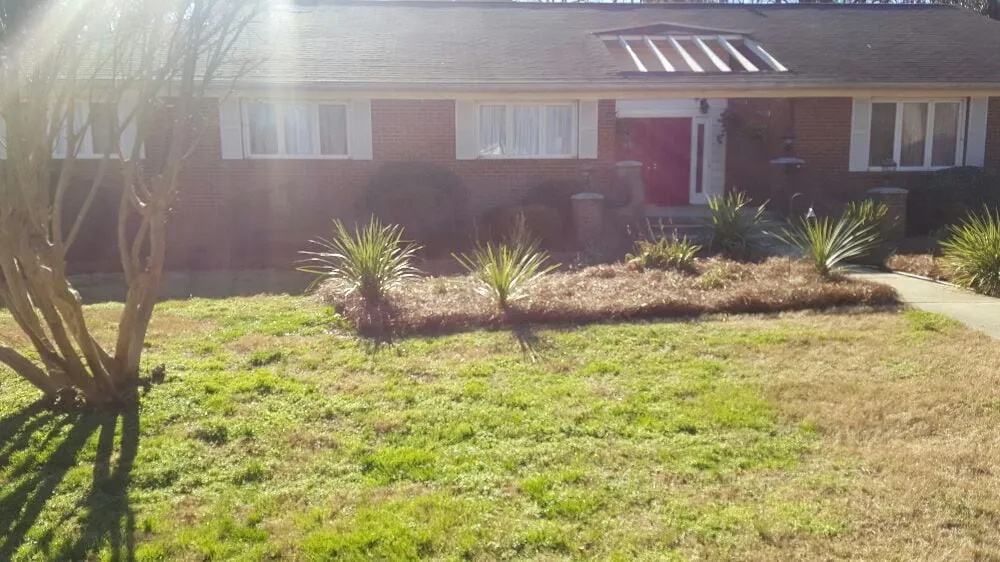 Expert outdoor landscaping experts serving Kannapolis, NC - Lawn Firm