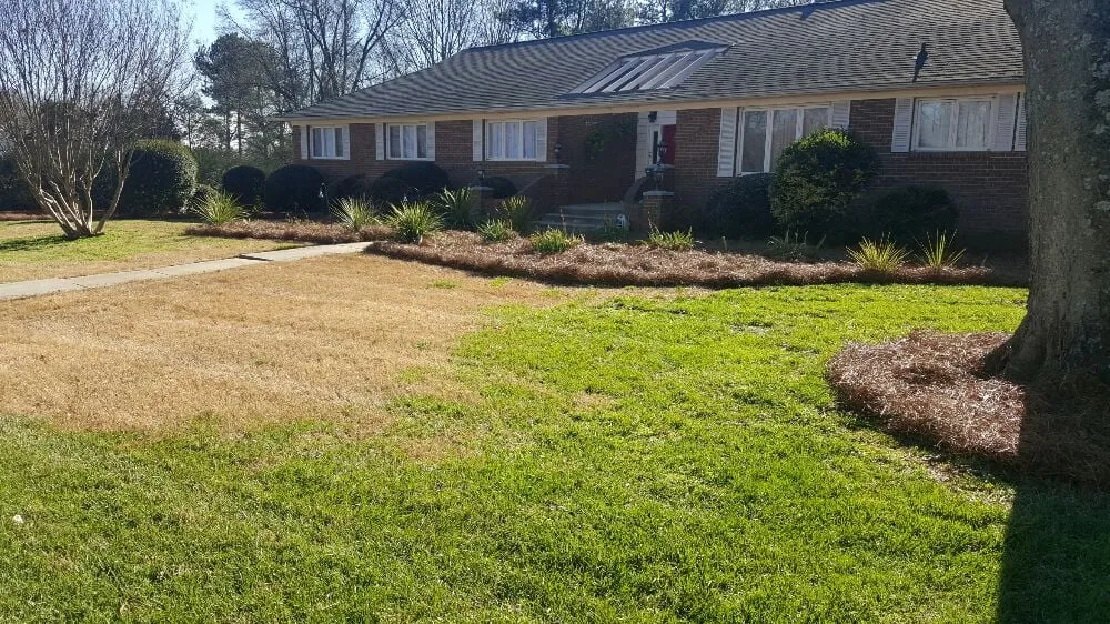 Expert landscape design in Kannapolis, NC - Lawn Firm