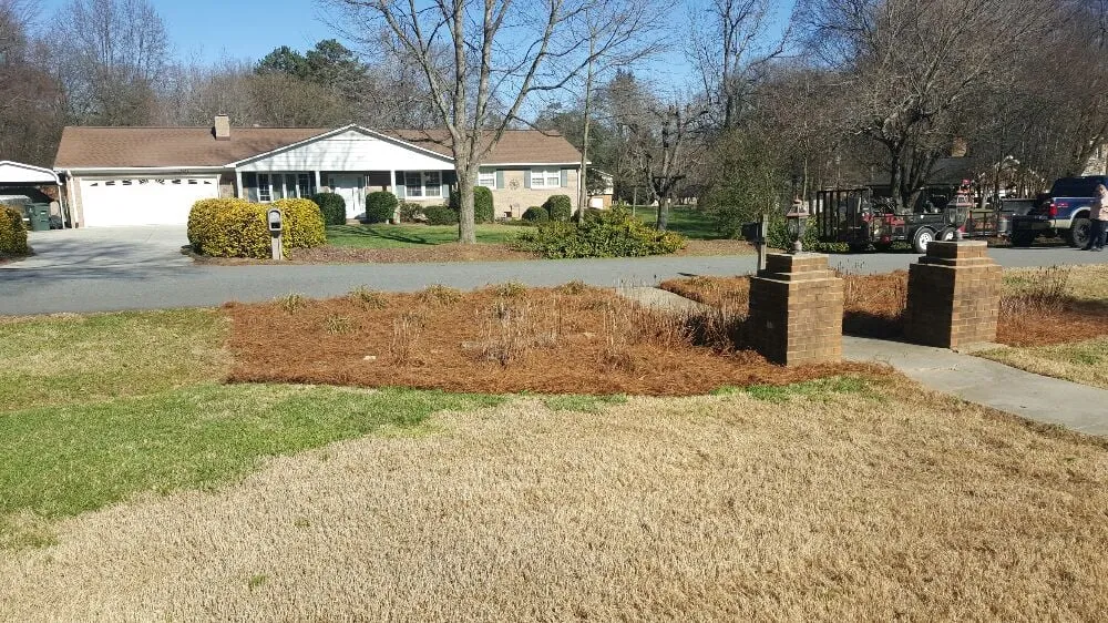 Trusted yard cleanup service experts serving Kannapolis, NC - Lawn Firm