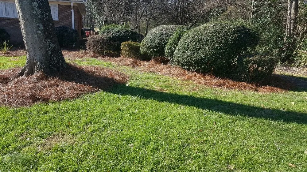 Affordable landscape design in Kannapolis, NC - Lawn Firm