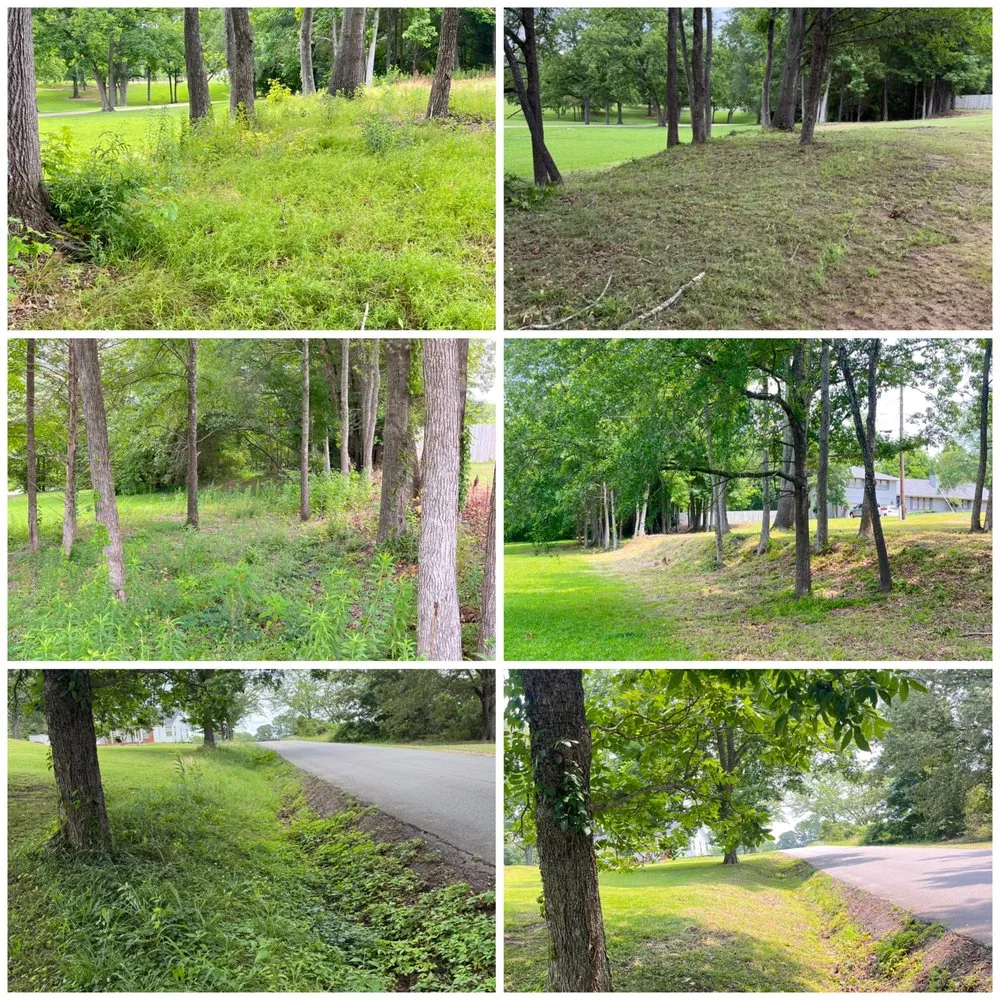 Local lawn care service in Baldwyn, MS - Lawn Fit