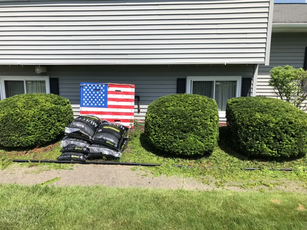 Professional residential landscaping in Lorain, OH - Lawn For Less