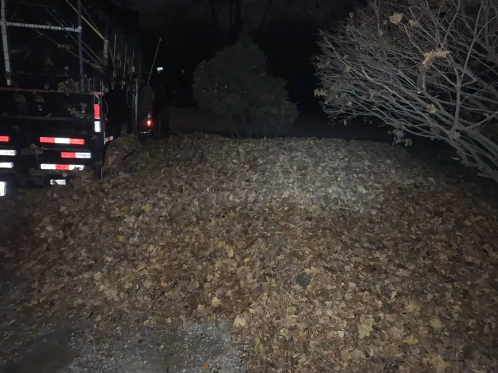 Affordable yard maintenance experts serving Lorain, OH - Lawn For Less