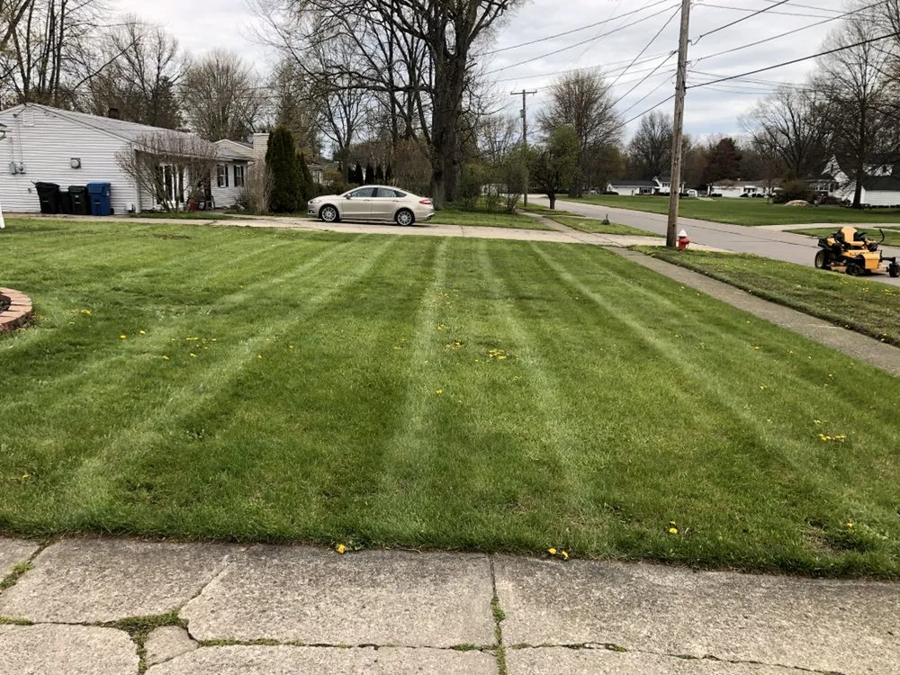 Professional lawn care service for beautiful yards across Lorain, OH - Lawn For Less