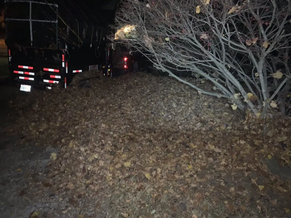 Affordable landscaping services in Lorain, OH - Lawn For Less