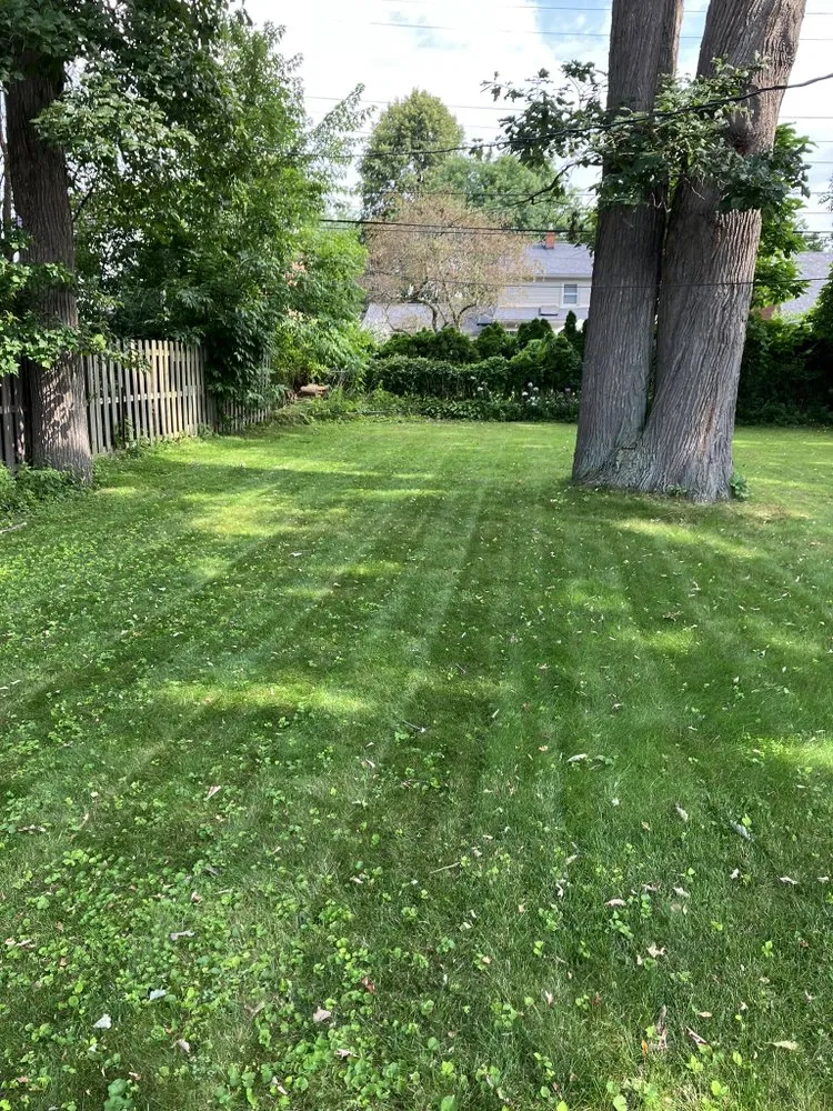 Professional garden landscaping near you in Eastpointe, MI by Lawn For Life