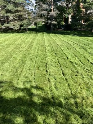 Lawn For Life