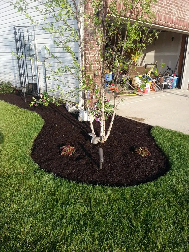 Expert yard cleanup service in Franklin, IN by Lawn Force One