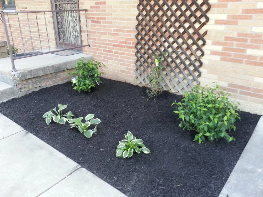 Custom outdoor landscaping experts serving Franklin, IN - Lawn Force One