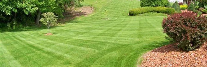 Trusted yard maintenance for homes in Highland, IL by Lawn Fro Mow