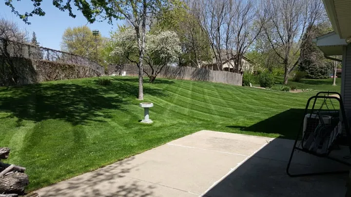 Professional yard cleanup service in Omaha, NE by Lawn FX