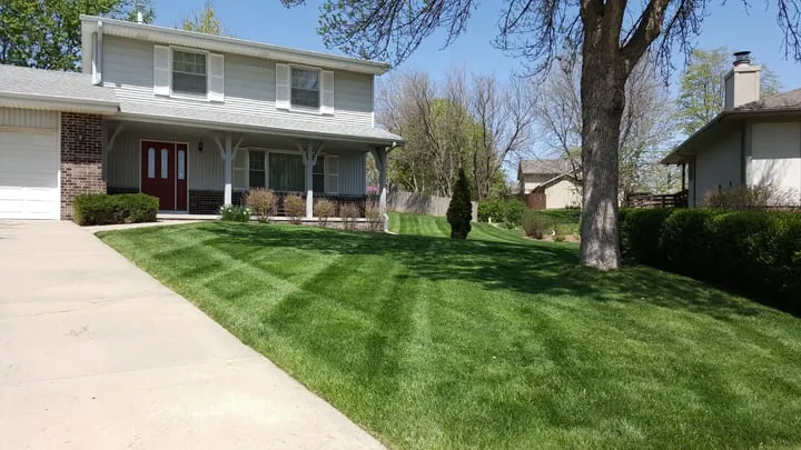 Reliable yard cleanup service for residential properties in Omaha, NE by Lawn FX