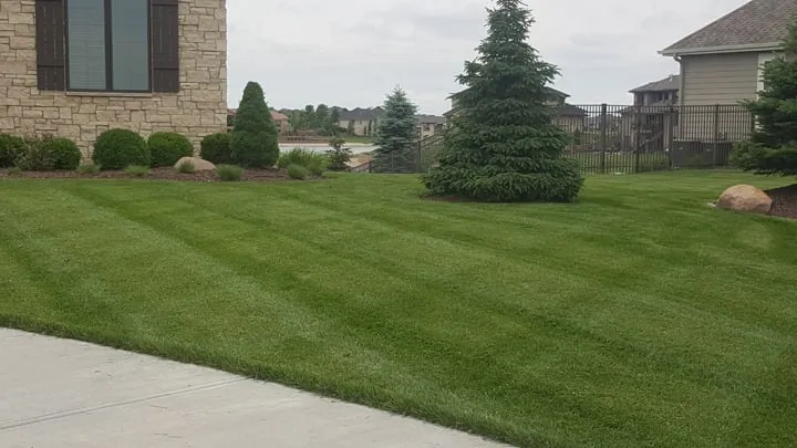 Local lawn mowing service experts serving Omaha, NE - Lawn FX