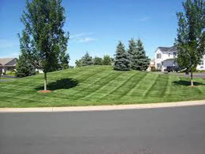 Trusted yard cleanup service in Omaha, NE - Lawn FX