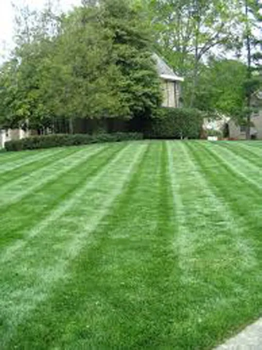 Top-rated yard cleanup service in Omaha, NE by Lawn FX