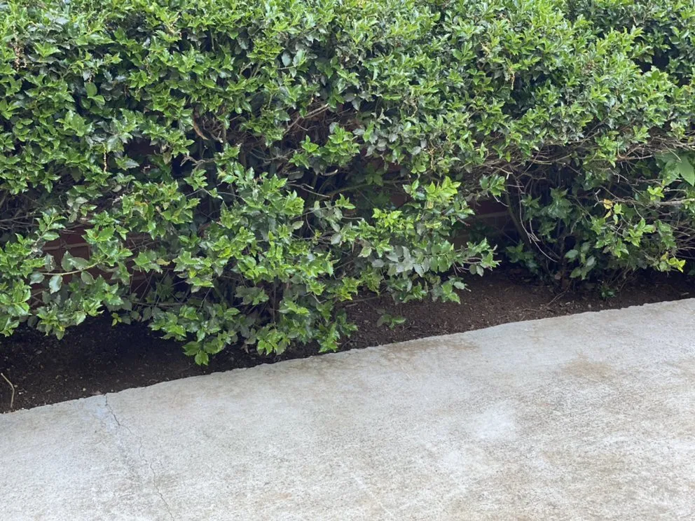 Custom residential landscaping for residential properties in Louisville, KY by Lawn Geek - Louisville