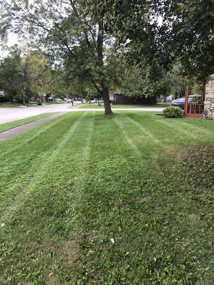 Top-rated landscaping services in Greenwood, IN by Lawn Geeks