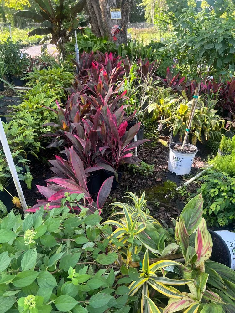 Expert yard cleanup service in Jacksonville, FL - Lawn Geekz Jax