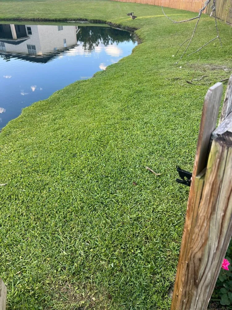 Custom yard cleanup service in Jacksonville, FL - Lawn Geekz Jax