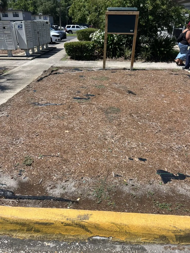 Custom landscape installation in Jacksonville, FL by Lawn Geekz Jax