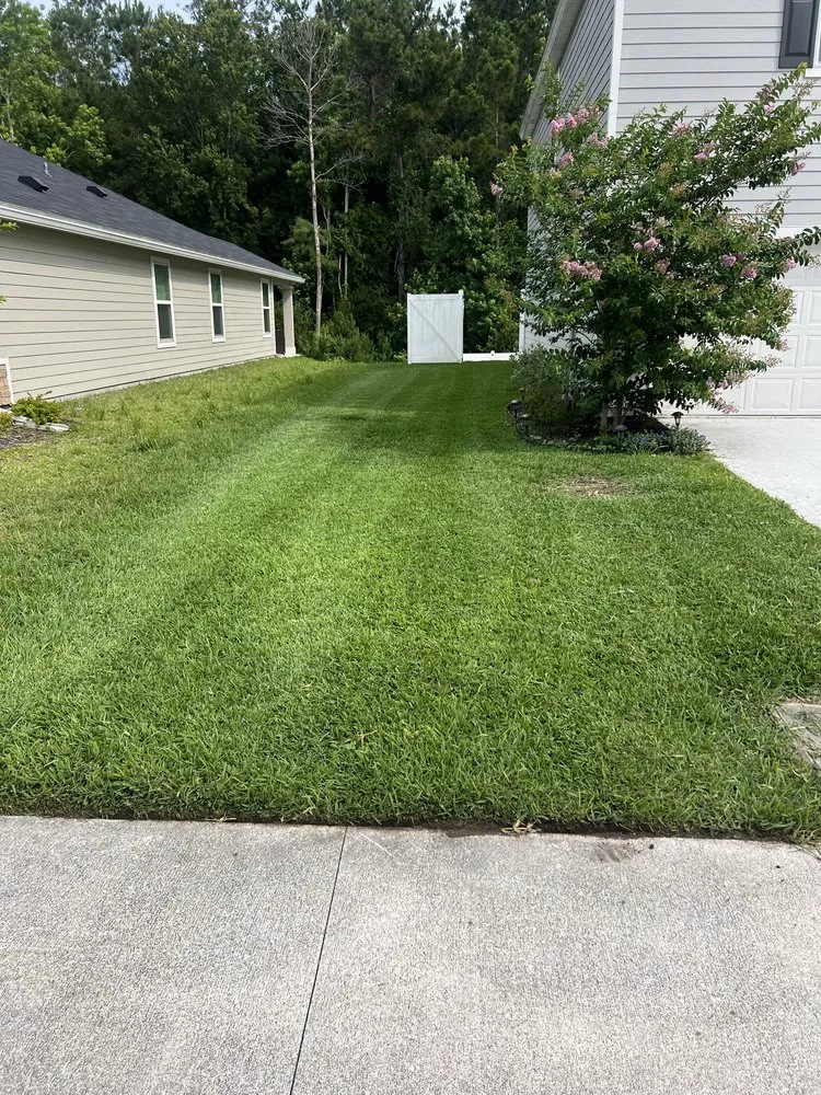 Trusted yard cleanup service in Jacksonville, FL - Lawn Geekz Jax