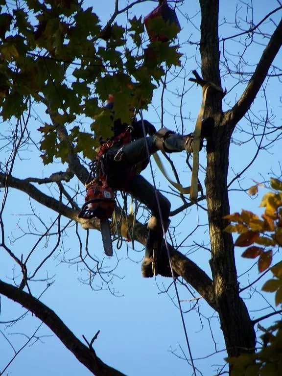 Local lawn mowing service for residential properties across New Britain, CT - Lawn Gentlemen LLC