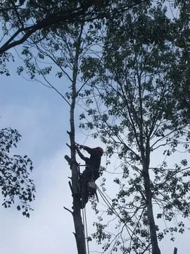 Trusted landscape design with custom design across New Britain, CT - Lawn Gentlemen LLC