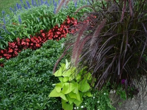 Top-rated landscape design near you across New Britain, CT - Lawn Gentlemen LLC