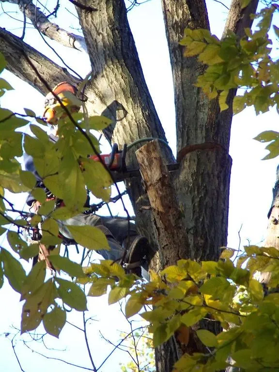 Trusted lawn care service experts serving New Britain, CT - Lawn Gentlemen LLC