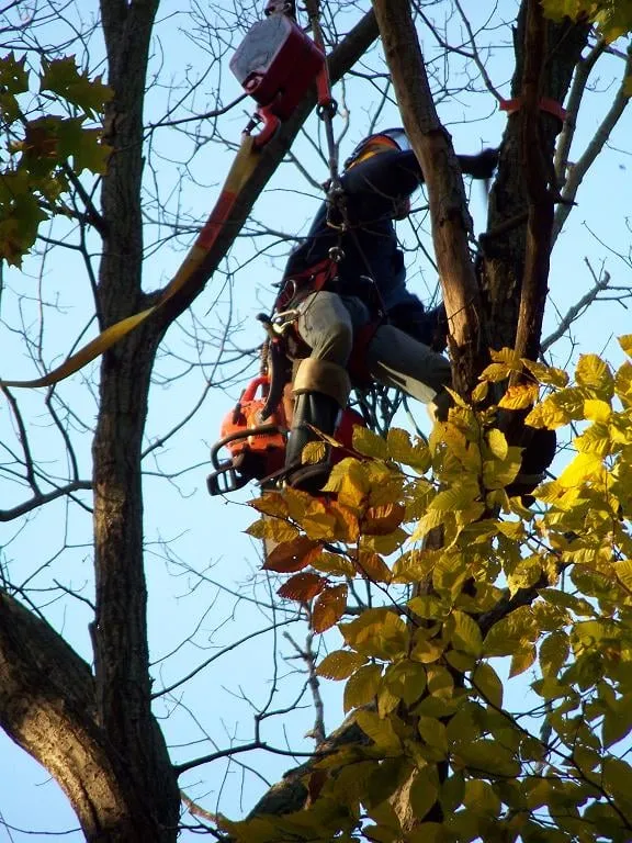 Local residential landscaping in New Britain, CT - Lawn Gentlemen LLC