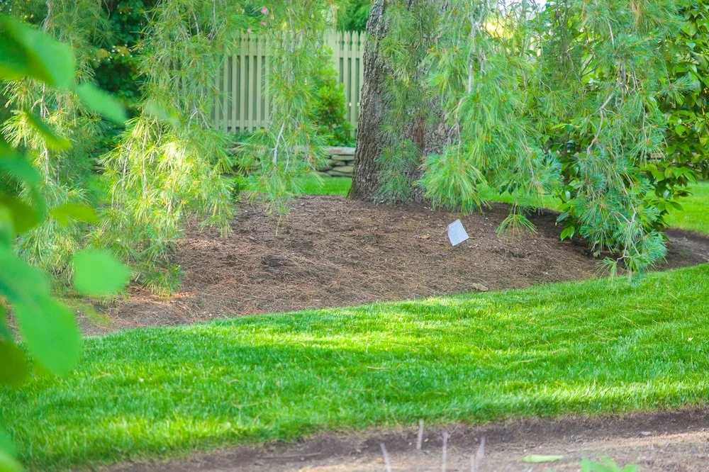 Professional lawn care service experts serving Toms River, NJ - Lawn Gevity Landscaping