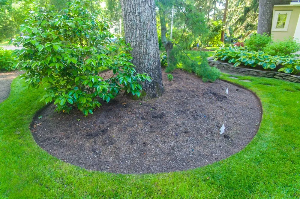 Local yard maintenance for outdoor upgrades in Toms River, NJ by Lawn Gevity Landscaping
