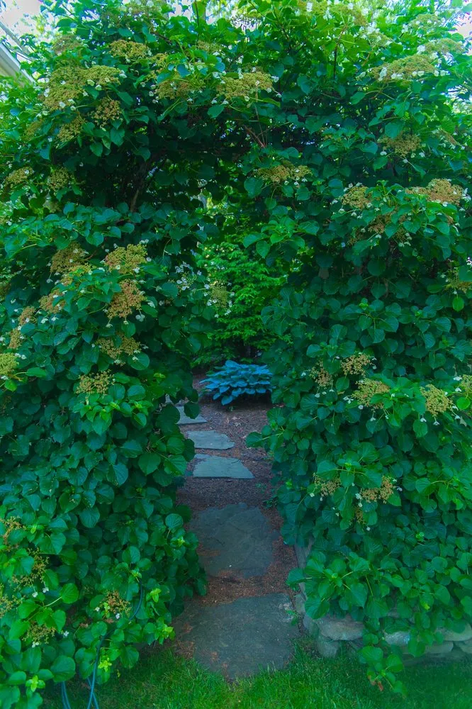 Local yard cleanup service in Toms River, NJ - Lawn Gevity Landscaping