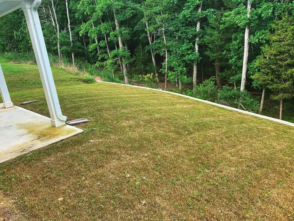 Trusted yard maintenance in Lexington, SC by Lawn Giants