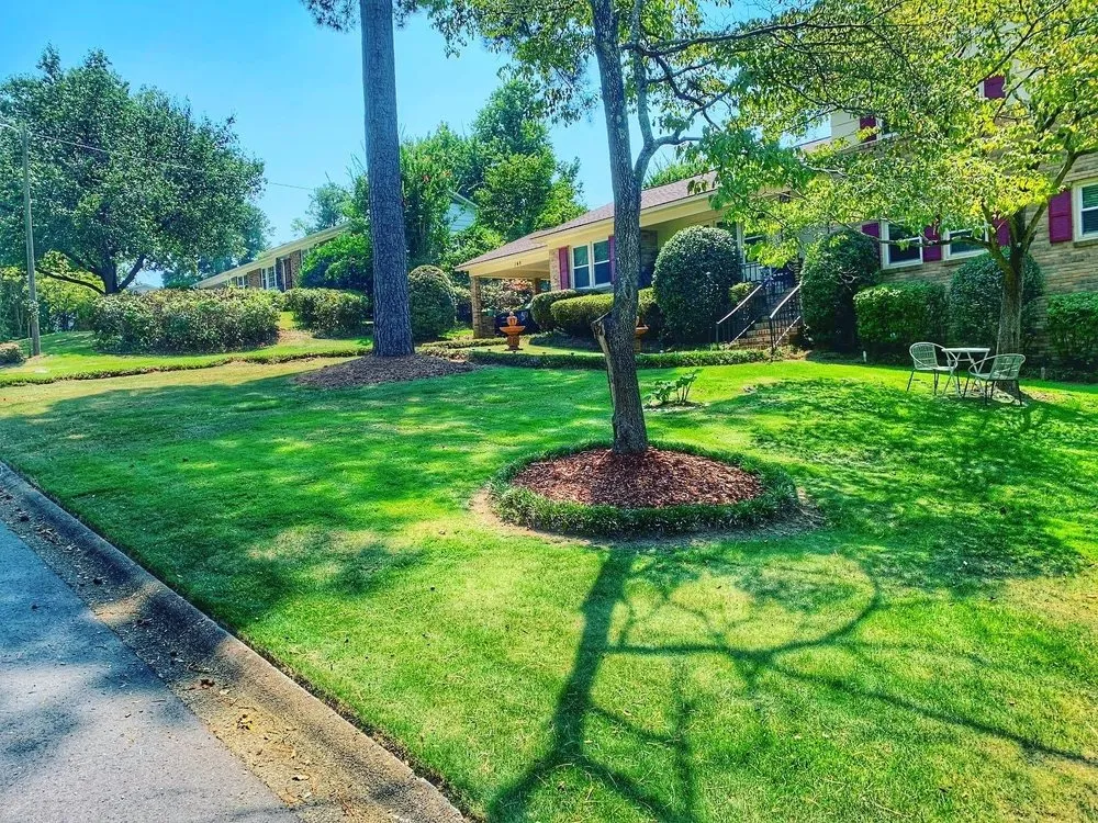Local yard cleanup service in Lexington, SC by Lawn Giants