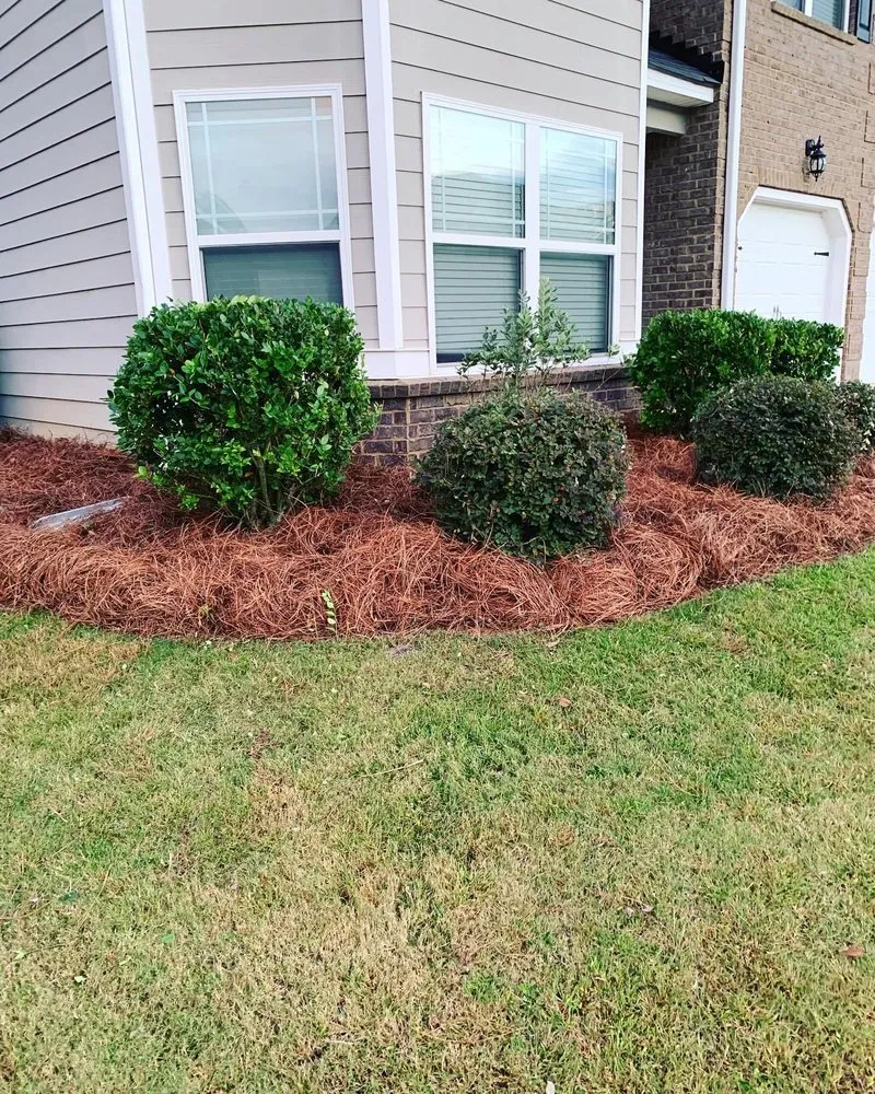 Professional landscape design for homes across Lexington, SC - Lawn Giants