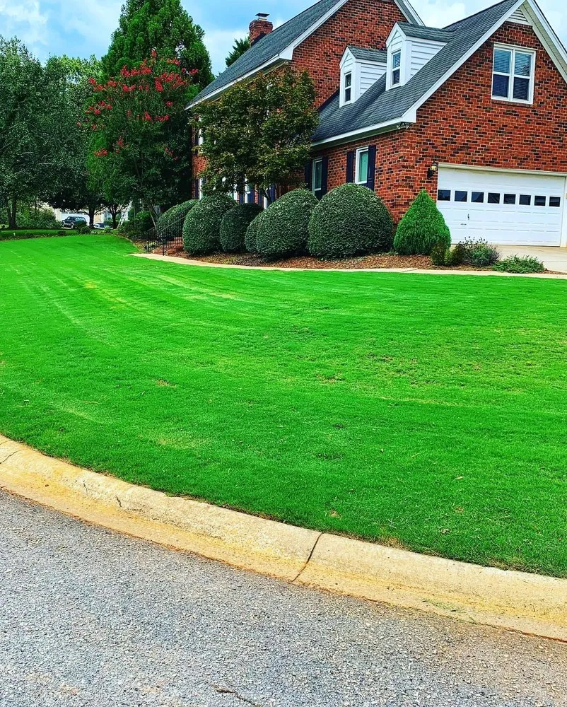Reliable lawn care service experts serving Lexington, SC - Lawn Giants