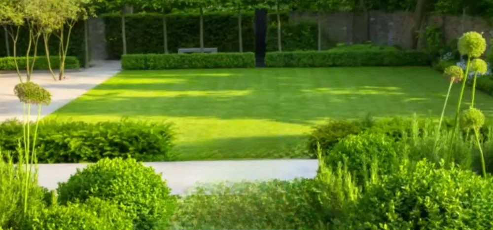 Expert yard cleanup service experts serving Mt. Juliet, TN - Lawn Gladiators